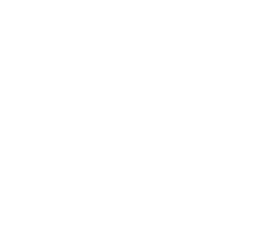 Roel Schenk